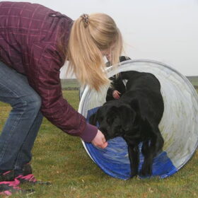 Hondenfoto van Marlies
