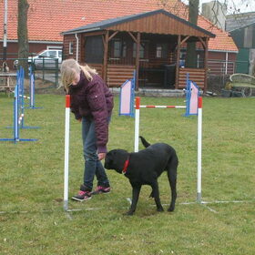 Hondenfoto van Marlies