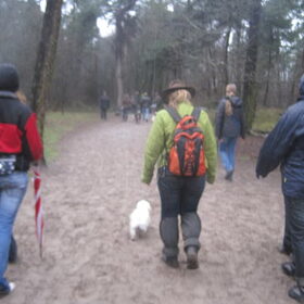 met z'n alle bij de drunense duinen alle honden liepen lekker los