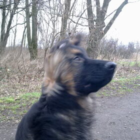 Beetje veel wind...
