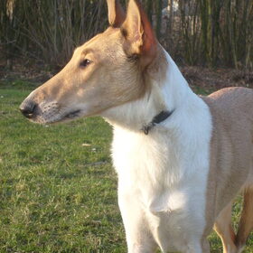 2011-03-02_Sandy17M
