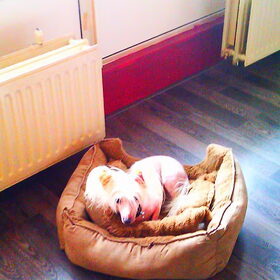 dit is calean mn naakt-loper egt een lievert en gek op zn mattie…