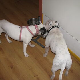 samen drinken
