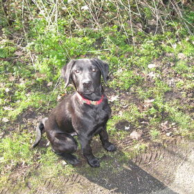 In het park met Link