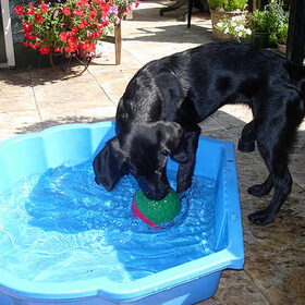 Waterpret