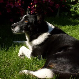 in de zon..