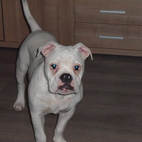 Ik wordt al heel groot