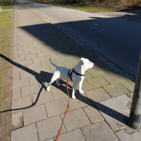 Loving the sun sooo much!