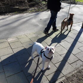 loop nou door vrouwtjuhh