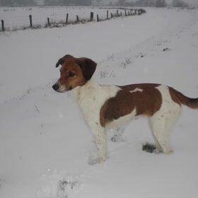 onze Mazzel (5)