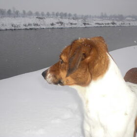 onze Mazzel (10)