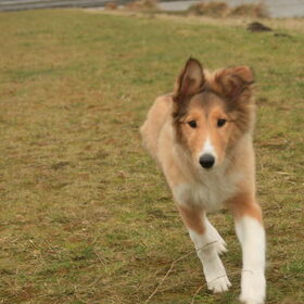 Runn!!