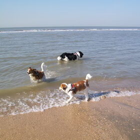 wandelen aan zee