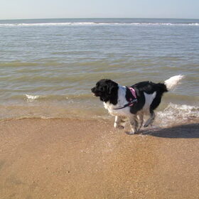 wandelen aan zee