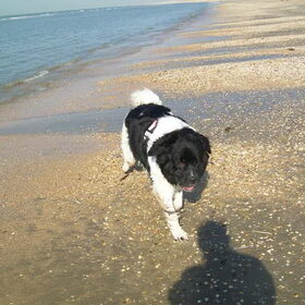wandelen aan zee