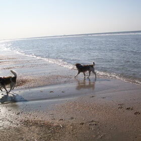 wandelen aan zee