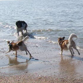 wandelen aan zee