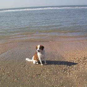 wandelen aan zee