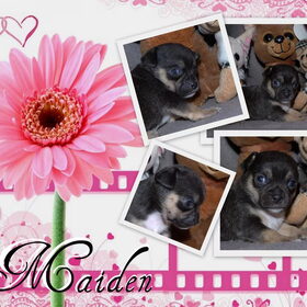 Maiden