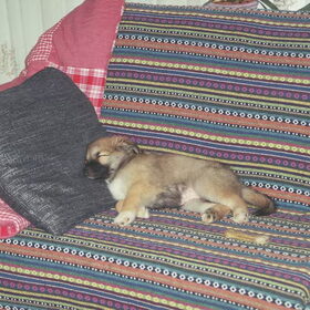schoonheidsslaapje