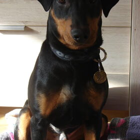 Aaron 6 maanden