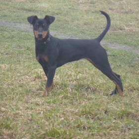 Guilia (Agnes) 6 maanden