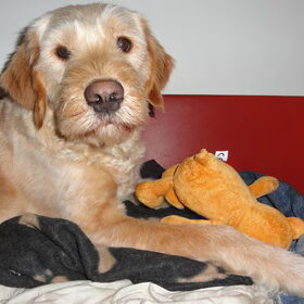 Matchy met haar knuffel