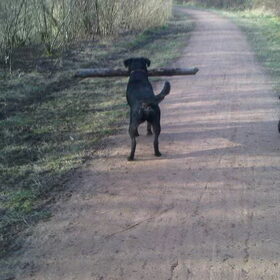 J & F in het bos!