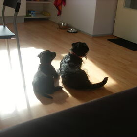 Liggen in de zon.