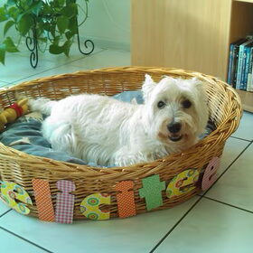 Hondenfoto van Nathalie & Rocky  14/07/2000 - 19/04/2011