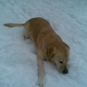 Hap Hap, Sneeuw weg ='] *Chanti