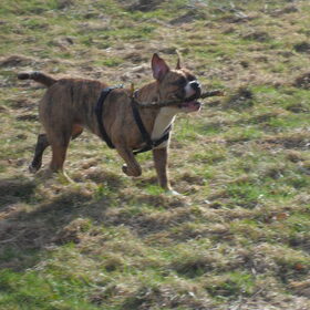 My ears are flapping around ..