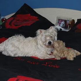Amy, 10 maanden oud.