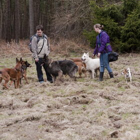 Dave en Hetty en de hondjes