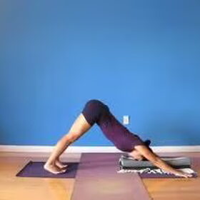 Houding van de hond, yoga