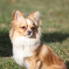 onze lieve en knappe Jay