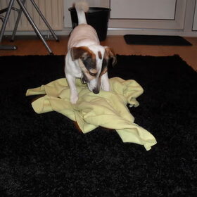 Spelen.