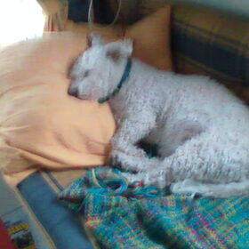 Camping 2005
