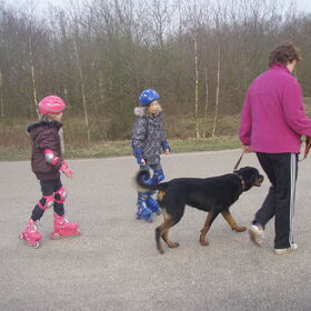 Moeders, Bo en de kleintjes.