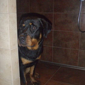 Douche-time!
