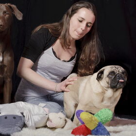 Quinto, Mandy en Boomer