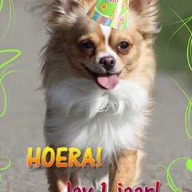 Mijn kleine vent 1 jaar!