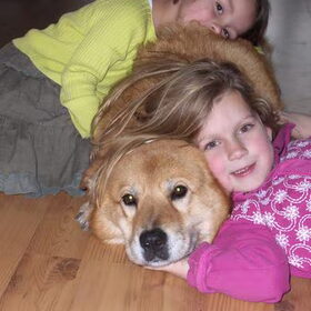Hondenfoto van Katja