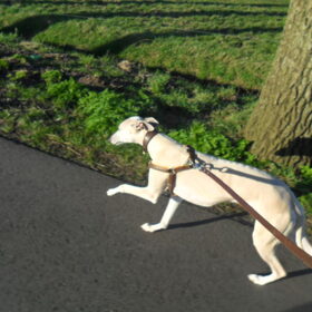 naast de fiets