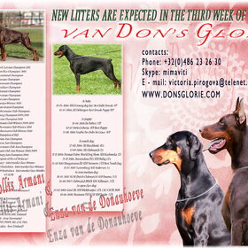 Puppies expected out of Grand Mollis Armani & Enza van de…