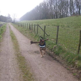 Hondenfoto van Claudia & Tank