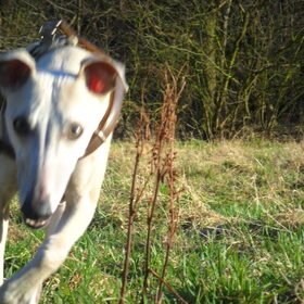 haha, leuke foto.
