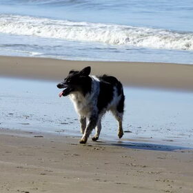 Andor @ Egmond aan zee