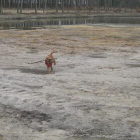 lente 2011