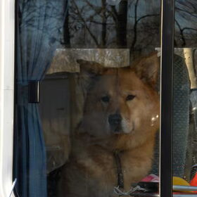 mee in de camper